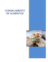 CONGELAMENTO DE ALIMENTOS.pdf
